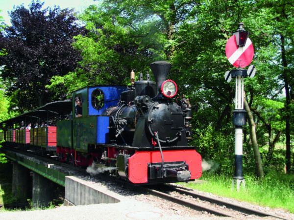Schinznach Dorf - Schinznacher Baumschulbahn
